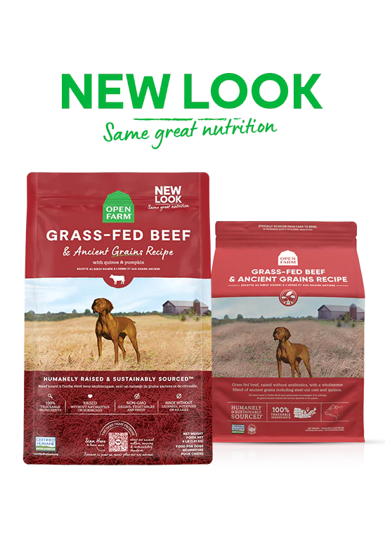 Open Farm Grass-Fed Beef & Ancient Grains Dry Dog Food