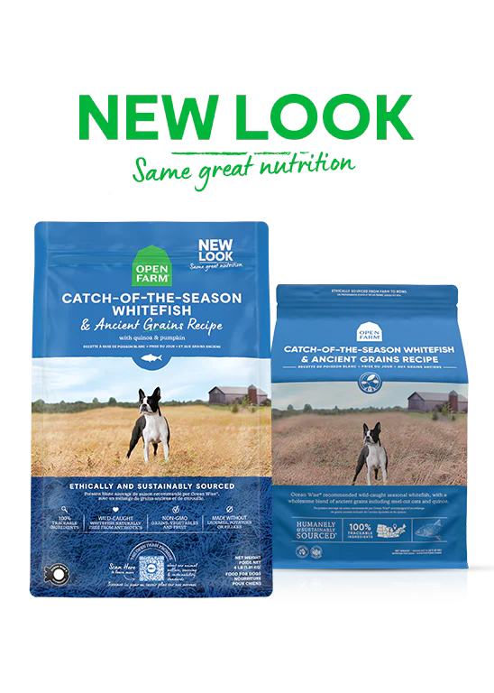 Open Farm Catch-of-the-Season Whitefish & Ancient Grains Dry Dog Food