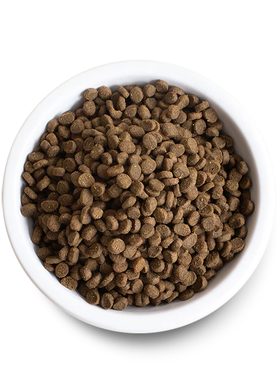 Open Farm Kitten Grain-Free Dry Cat Food 4lb