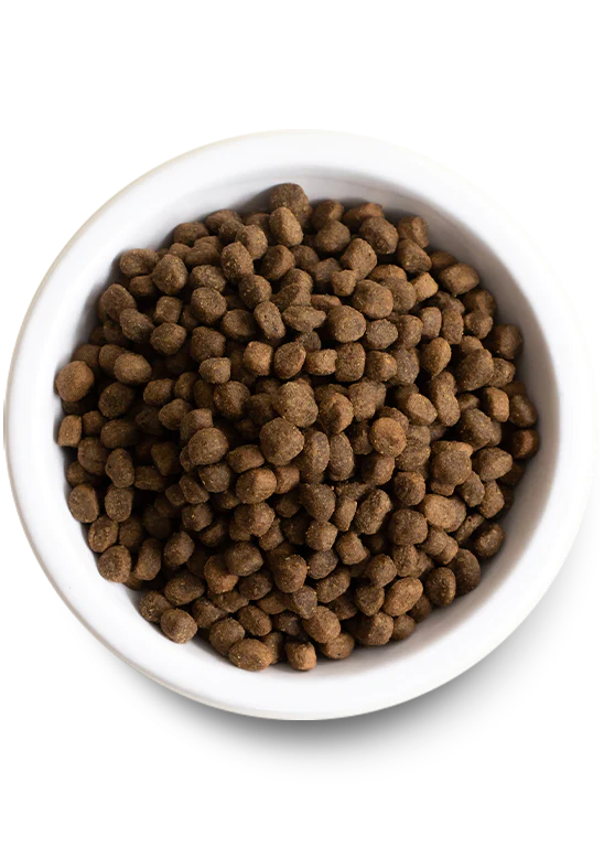 Open Farm Pasture-Raised Lamb Grain-Free Dry Dog Food