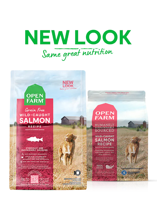 Open Farm Wild-Caught Salmon Grain-Free Dry Dog Food