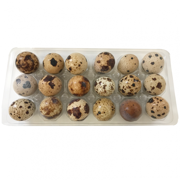 BIG COUNTRY RAW Quail Eggs (Frozen) – 18 Pk